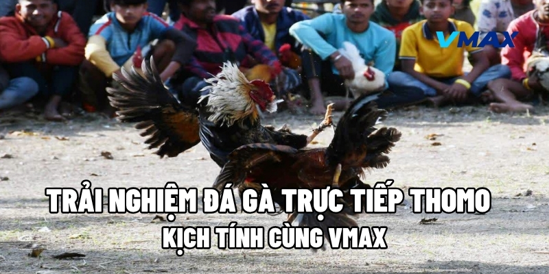 da ga truc tiep thomo 1