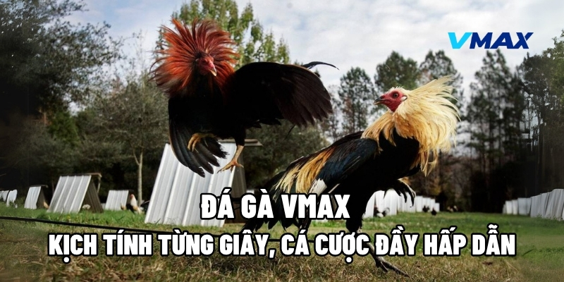 da ga vmax 1