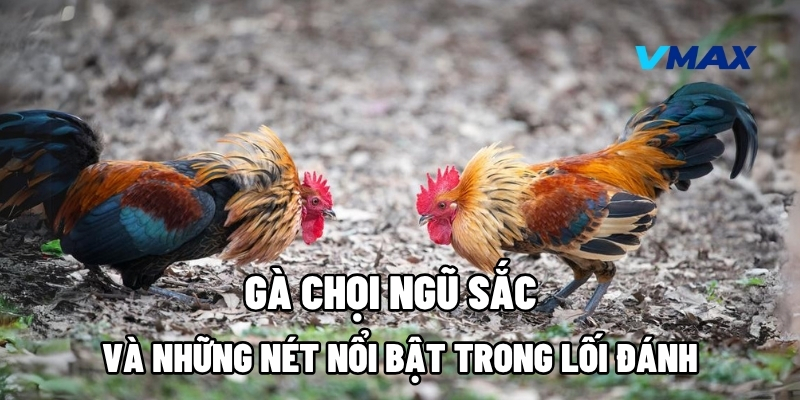 ga choi ngu sac 1
