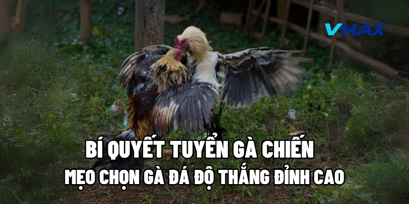meo chon ga da do thang 1