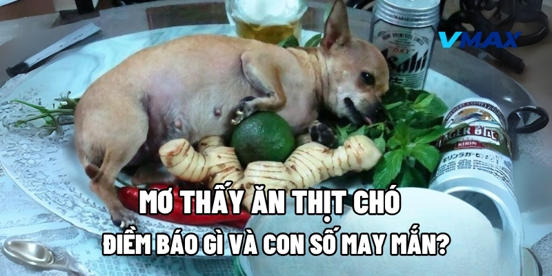 mo thay an thit cho 1