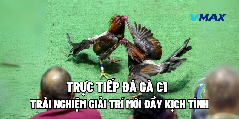 truc tiep da ga c1 1